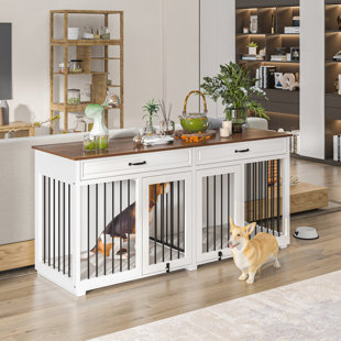 Puppy apartment training 2024 crate with divider